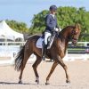 What Are the Benefits of Horse Riding