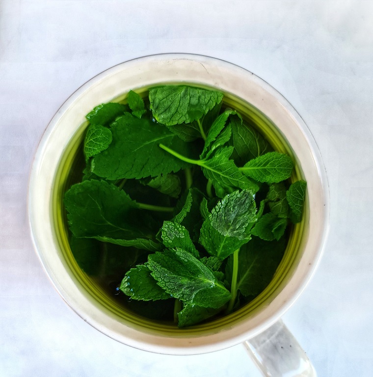 picture of a cup with mint