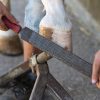 person using a rasp for a hoof on a horse